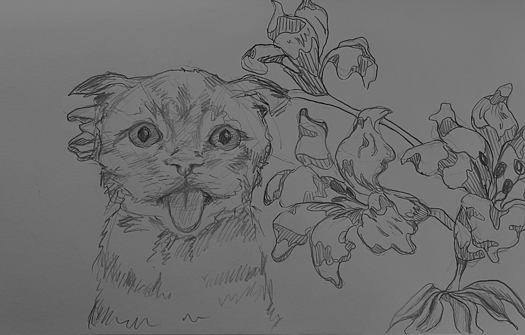 A Happy Love to&nbsp;Everyone